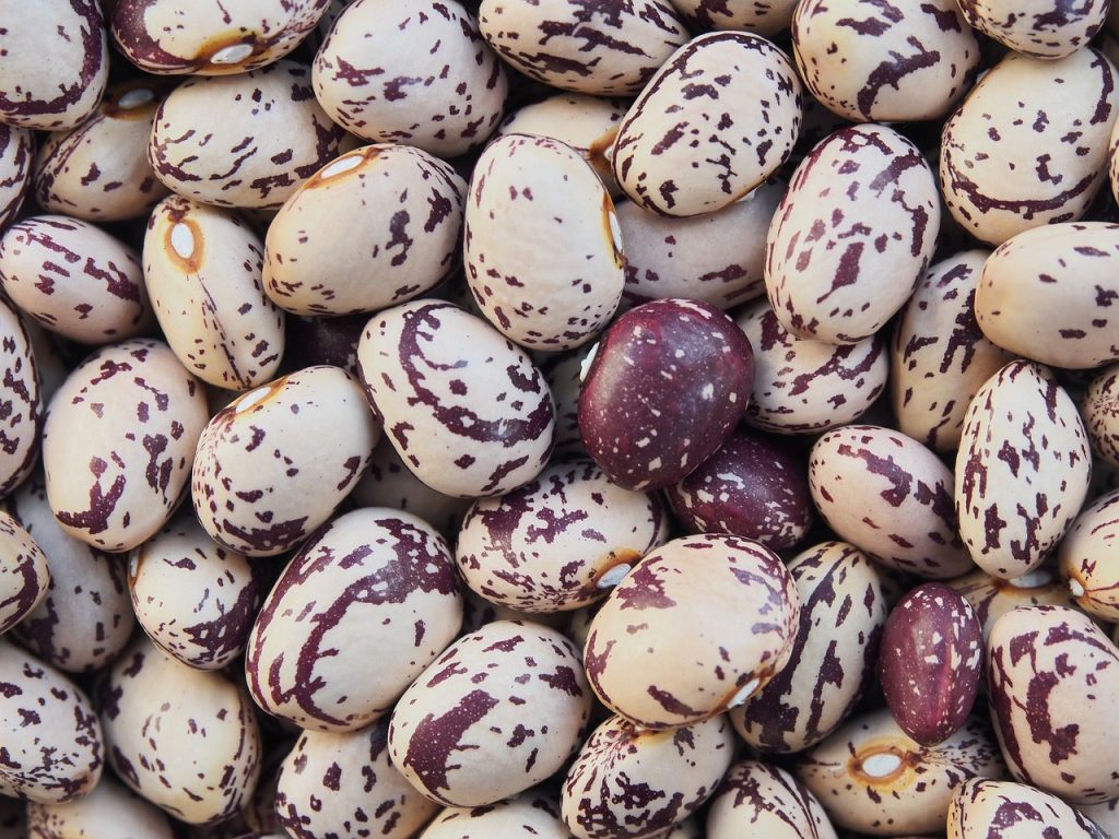 3 Ways to Dry Borlotti Beans
